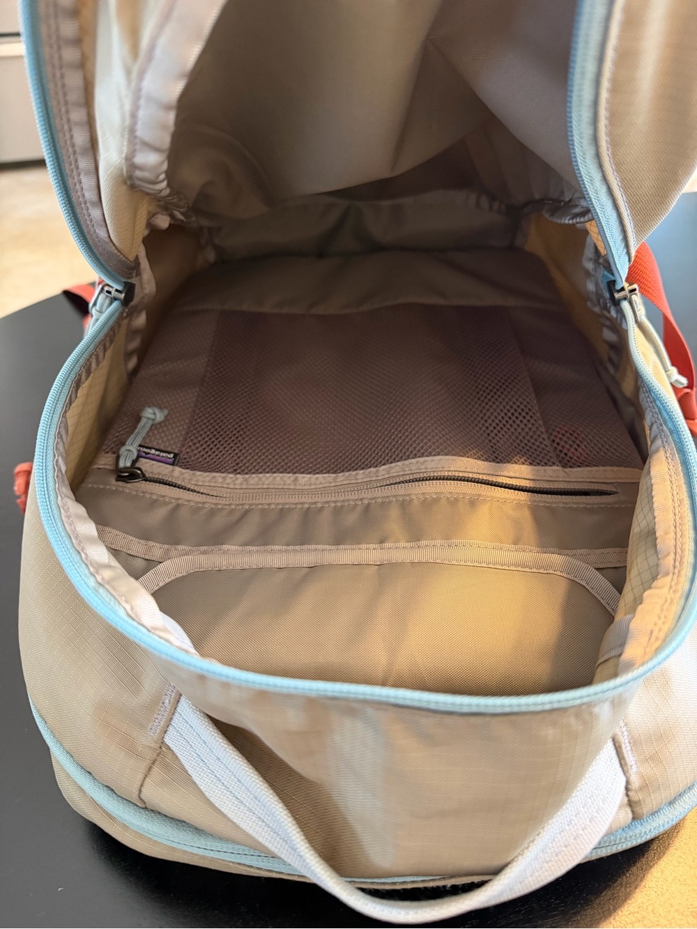 Patagonia Backpack - Picture 5 of 6